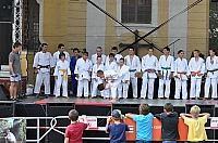 ukazky 2012__07.JPG
